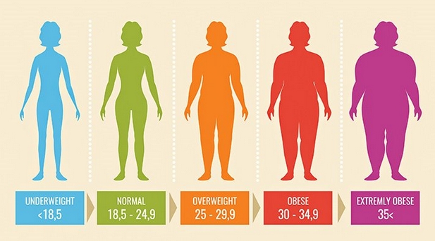 Hướng dẫn cách tính BMI – Chỉ số để biết bạn gầy hay mập