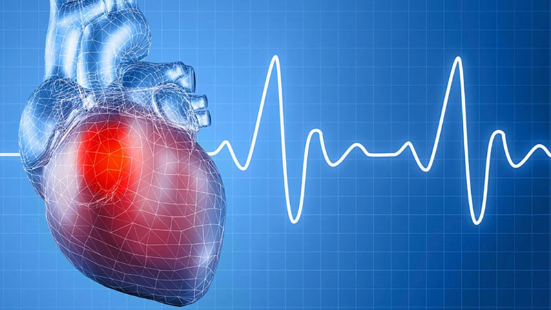 Thuốc Q10 hỗ trợ tim mạch an toàn và hiệu quả như thế nào?
