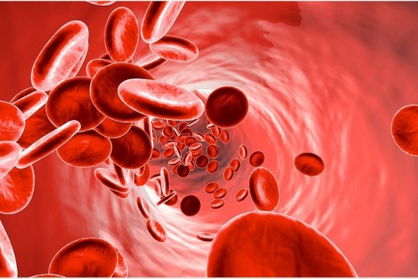 3 mức độ mất máu cấp và chỉ định truyền máu cấp cứu