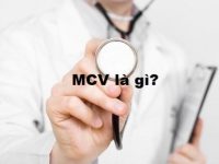 Chỉ số MCV trong xét nghiệm máu là gì?