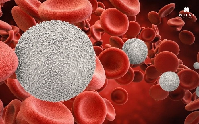 Chỉ số LYM trong xét nghiệm máu là gì?